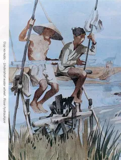 Tranh ký họa: Đạp xa nước