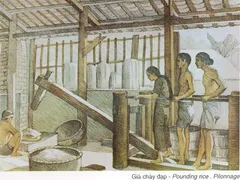 Tranh ký họa: Giã chày đạp