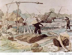 Tranh ký họa: Trong vườn
